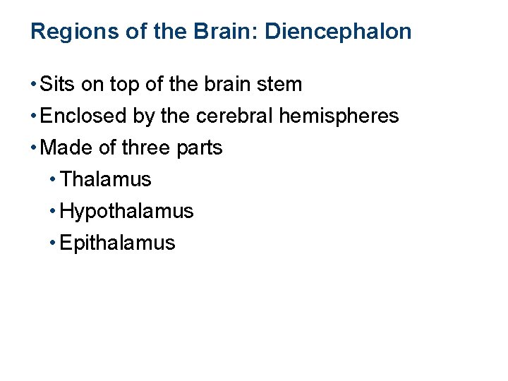 Regions of the Brain: Diencephalon • Sits on top of the brain stem •