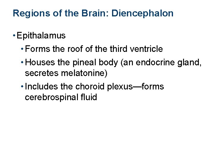 Regions of the Brain: Diencephalon • Epithalamus • Forms the roof of the third