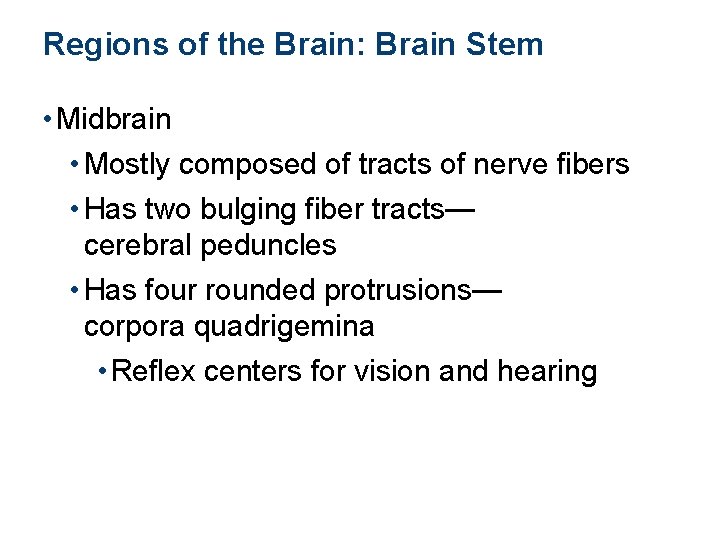 Regions of the Brain: Brain Stem • Midbrain • Mostly composed of tracts of