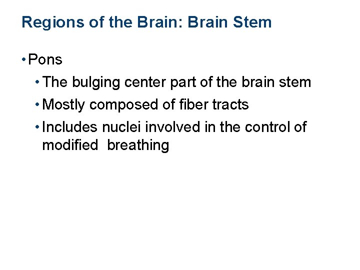 Regions of the Brain: Brain Stem • Pons • The bulging center part of