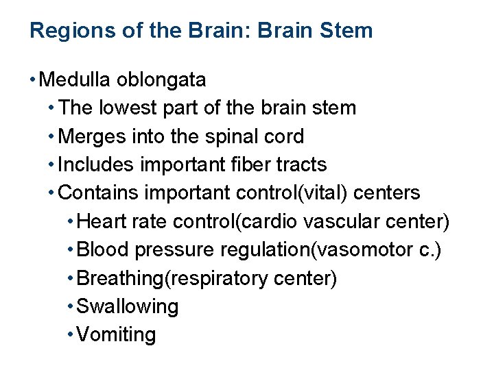 Regions of the Brain: Brain Stem • Medulla oblongata • The lowest part of