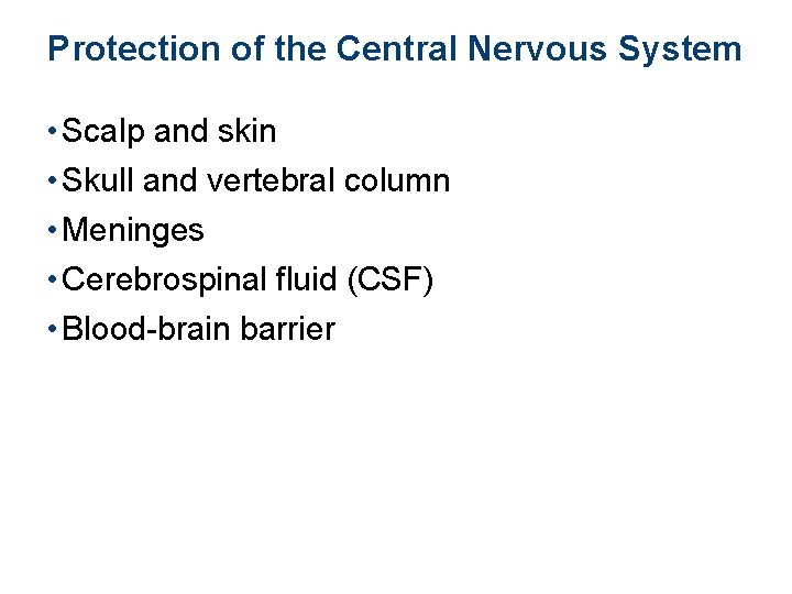 Protection of the Central Nervous System • Scalp and skin • Skull and vertebral