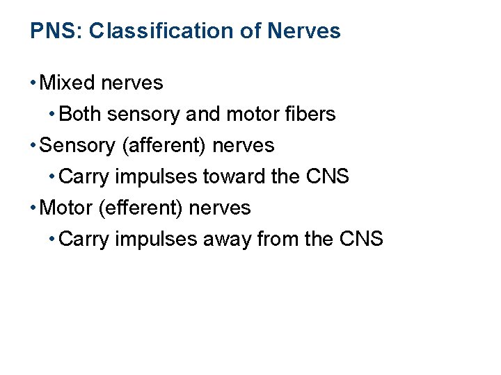 PNS: Classification of Nerves • Mixed nerves • Both sensory and motor fibers •