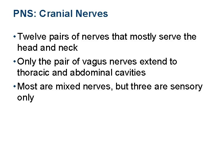 PNS: Cranial Nerves • Twelve pairs of nerves that mostly serve the head and