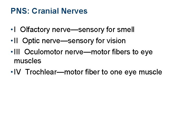 PNS: Cranial Nerves • I Olfactory nerve—sensory for smell • II Optic nerve—sensory for