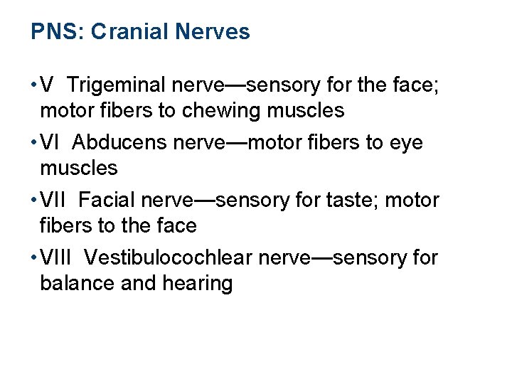 PNS: Cranial Nerves • V Trigeminal nerve—sensory for the face; motor fibers to chewing