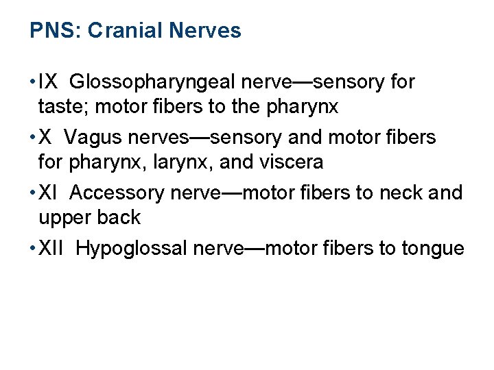 PNS: Cranial Nerves • IX Glossopharyngeal nerve—sensory for taste; motor fibers to the pharynx