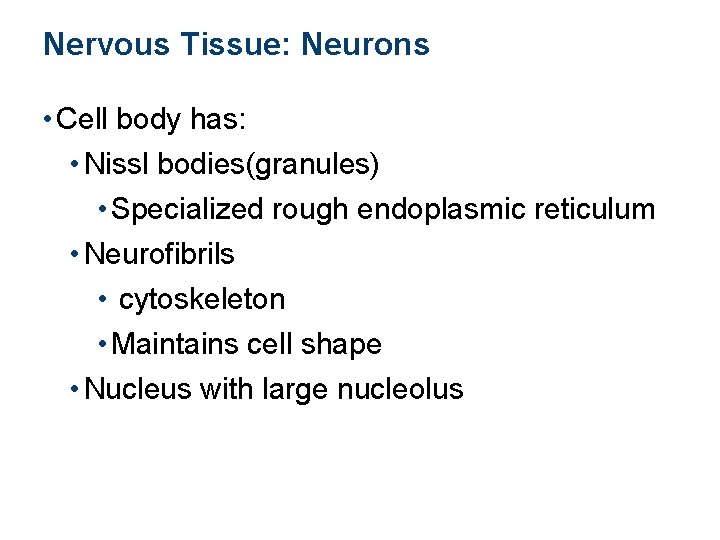 Nervous Tissue: Neurons • Cell body has: • Nissl bodies(granules) • Specialized rough endoplasmic