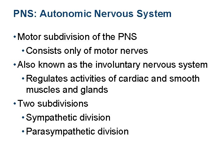 PNS: Autonomic Nervous System • Motor subdivision of the PNS • Consists only of