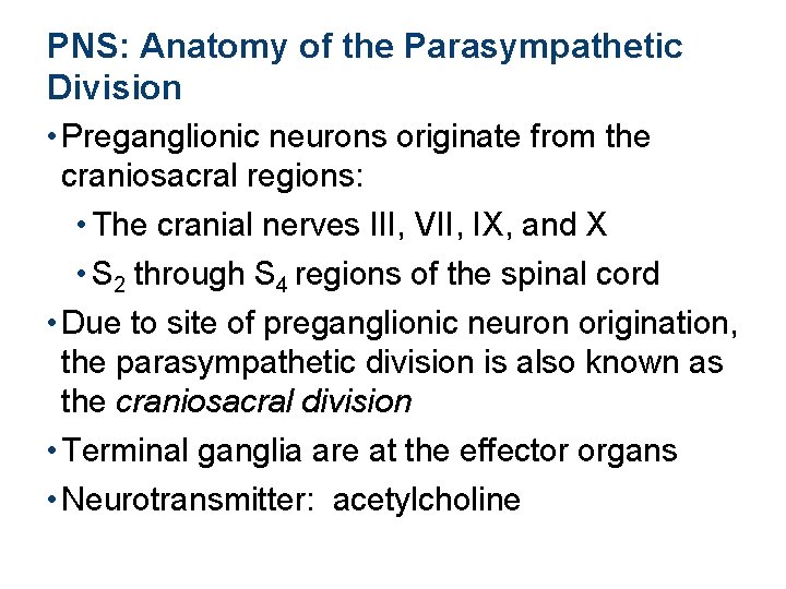 PNS: Anatomy of the Parasympathetic Division • Preganglionic neurons originate from the craniosacral regions: