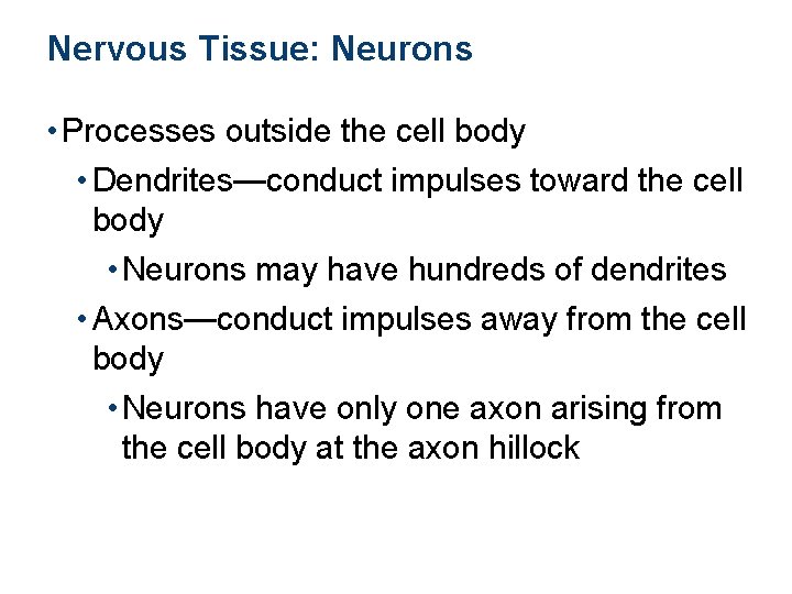 Nervous Tissue: Neurons • Processes outside the cell body • Dendrites—conduct impulses toward the