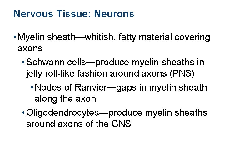 Nervous Tissue: Neurons • Myelin sheath—whitish, fatty material covering axons • Schwann cells—produce myelin