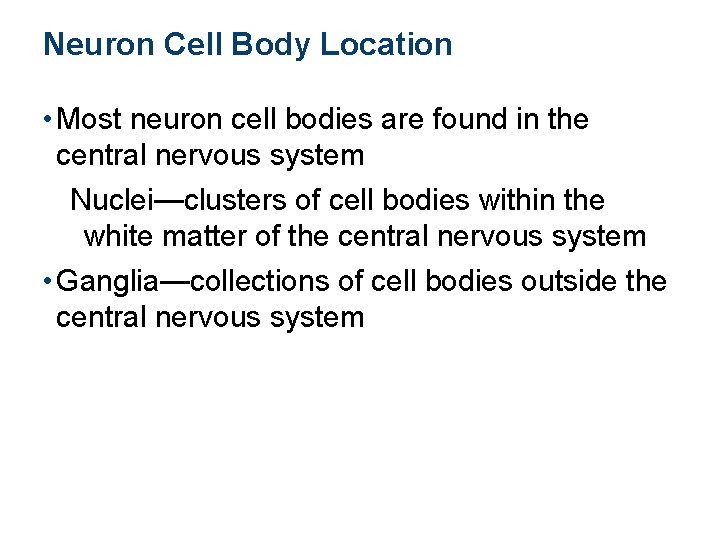 Neuron Cell Body Location • Most neuron cell bodies are found in the central