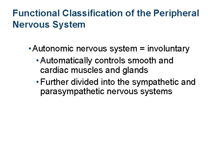 Functional Classification of the Peripheral Nervous System • Autonomic nervous system = involuntary •