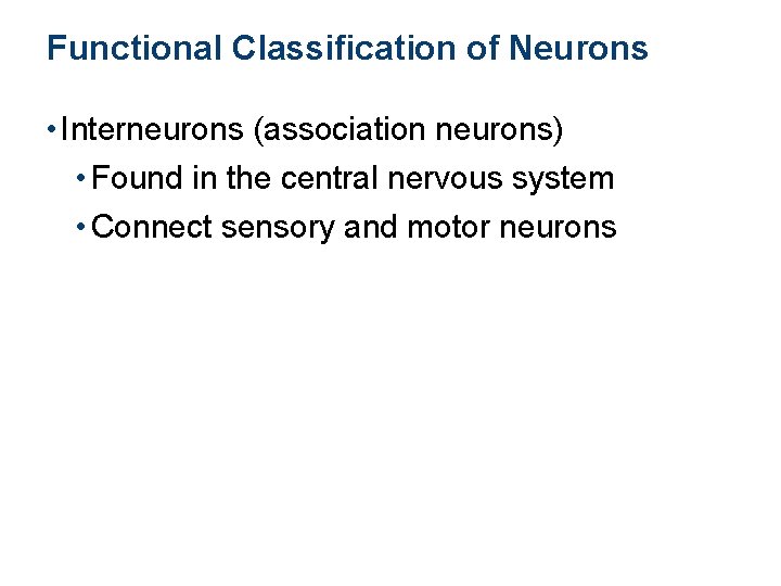 Functional Classification of Neurons • Interneurons (association neurons) • Found in the central nervous
