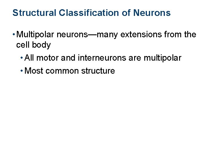 Structural Classification of Neurons • Multipolar neurons—many extensions from the cell body • All