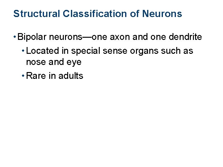 Structural Classification of Neurons • Bipolar neurons—one axon and one dendrite • Located in