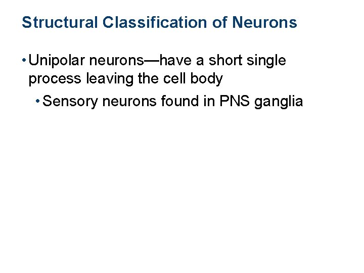 Structural Classification of Neurons • Unipolar neurons—have a short single process leaving the cell