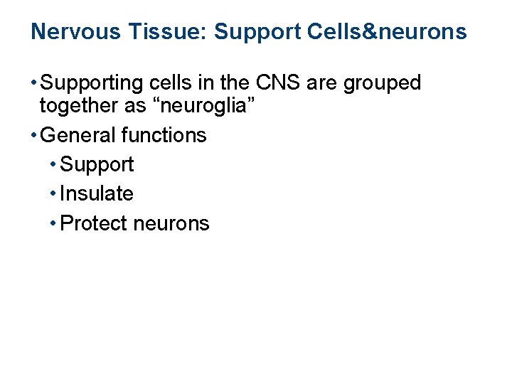 Nervous Tissue: Support Cells&neurons • Supporting cells in the CNS are grouped together as