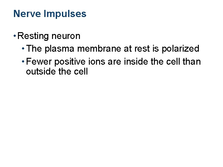 Nerve Impulses • Resting neuron • The plasma membrane at rest is polarized •