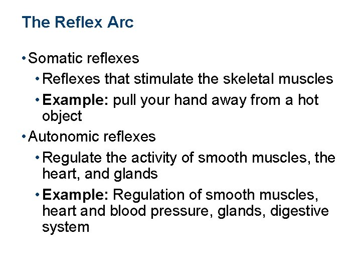 The Reflex Arc • Somatic reflexes • Reflexes that stimulate the skeletal muscles •
