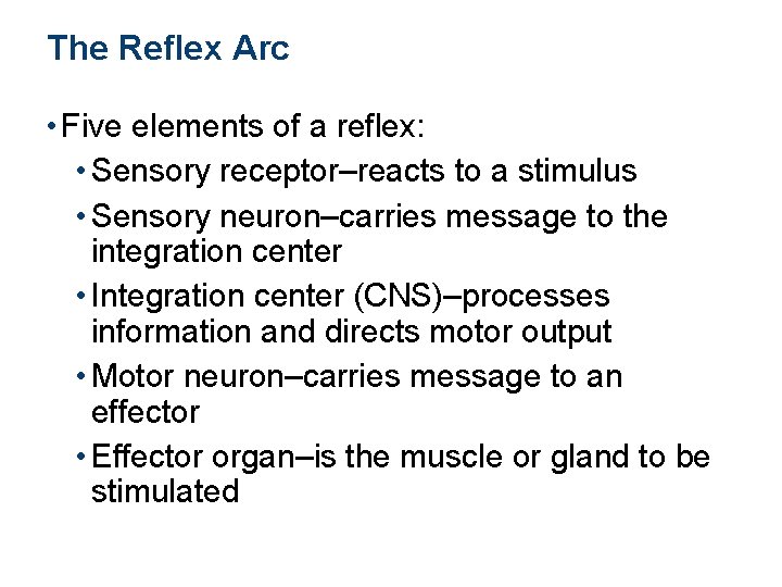 The Reflex Arc • Five elements of a reflex: • Sensory receptor–reacts to a