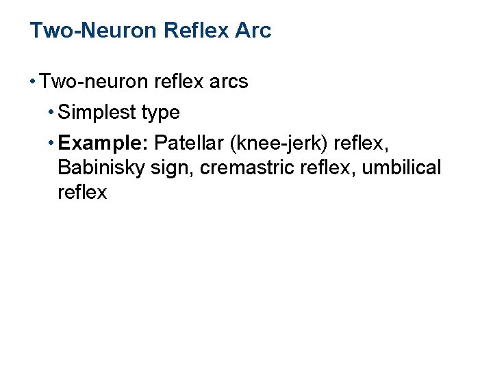 Two-Neuron Reflex Arc • Two-neuron reflex arcs • Simplest type • Example: Patellar (knee-jerk)