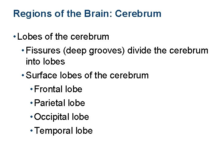 Regions of the Brain: Cerebrum • Lobes of the cerebrum • Fissures (deep grooves)