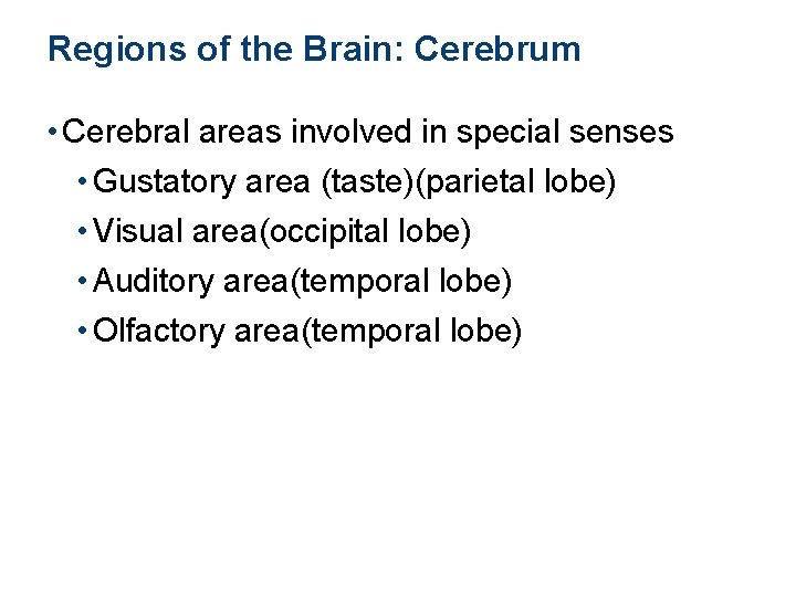 Regions of the Brain: Cerebrum • Cerebral areas involved in special senses • Gustatory