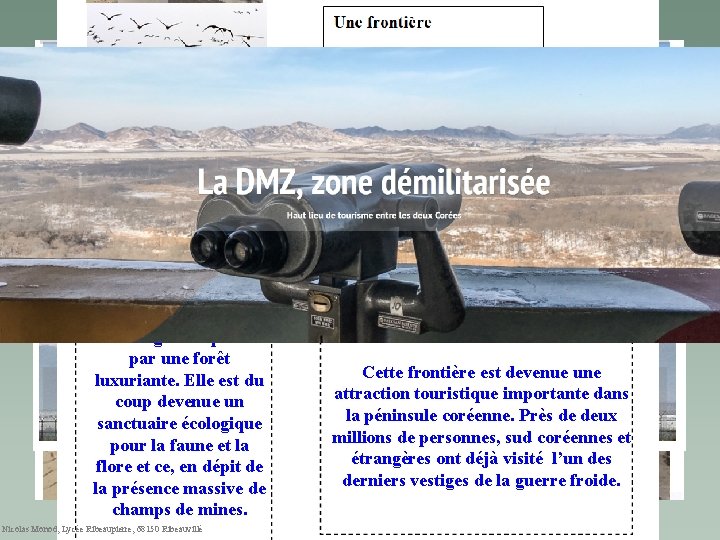devenue un sanctuaire écologique Préservée de toute intrusion humaine depuis des décennies, la DMZ