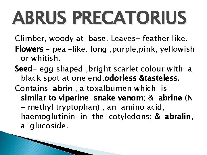 ABRUS PRECATORIUS Climber, woody at base. Leaves- feather like. Flowers – pea –like. long