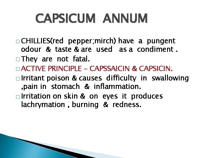 CAPSICUM ANNUM � CHILLIES(red pepper; mirch) have a pungent odour & taste & are