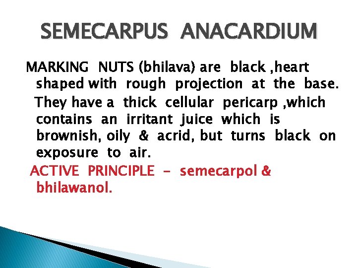 SEMECARPUS ANACARDIUM MARKING NUTS (bhilava) are black , heart shaped with rough projection at
