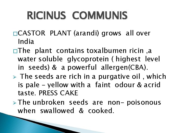 RICINUS COMMUNIS � CASTOR PLANT (arandi) grows all over India � The plant contains