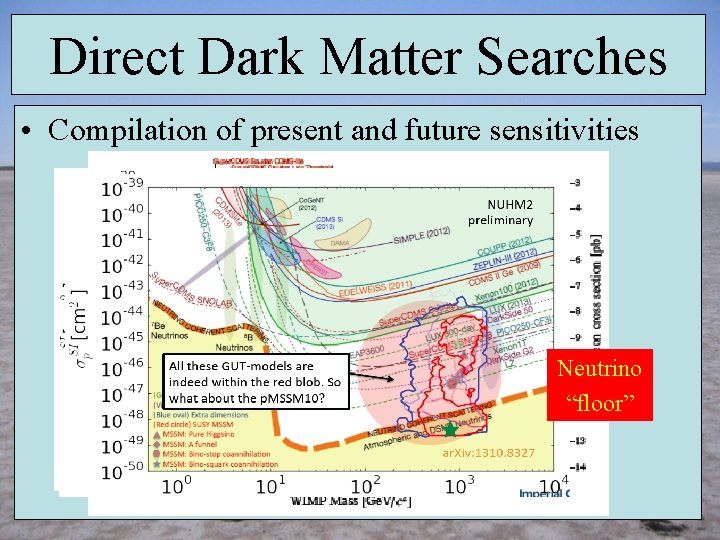 Direct Dark Matter Searches • Compilation of present and future sensitivities Neutrino “floor” 