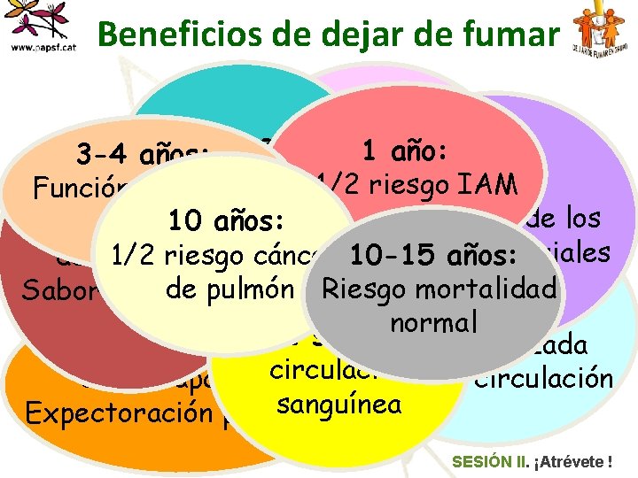 Beneficios de dejar de fumar 81 h: año: 3 -9 mes: 3 -4 años: