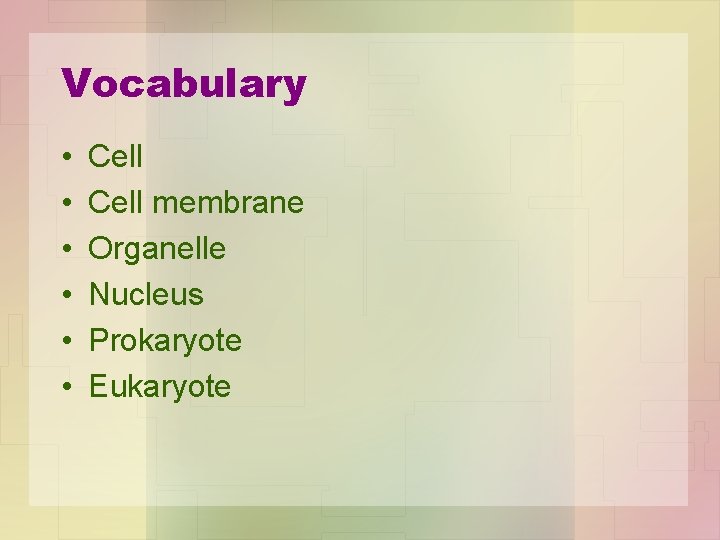 Vocabulary • • • Cell membrane Organelle Nucleus Prokaryote Eukaryote 