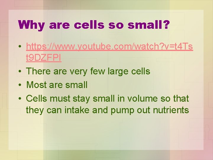 Why are cells so small? • https: //www. youtube. com/watch? v=t 4 Ts t