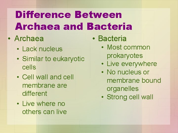 Difference Between Archaea and Bacteria • Archaea • Lack nucleus • Similar to eukaryotic