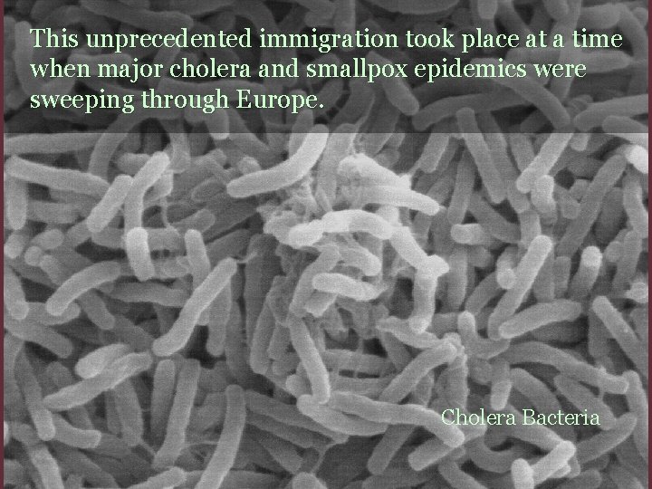 This unprecedented immigration took place at a time when major cholera and smallpox epidemics