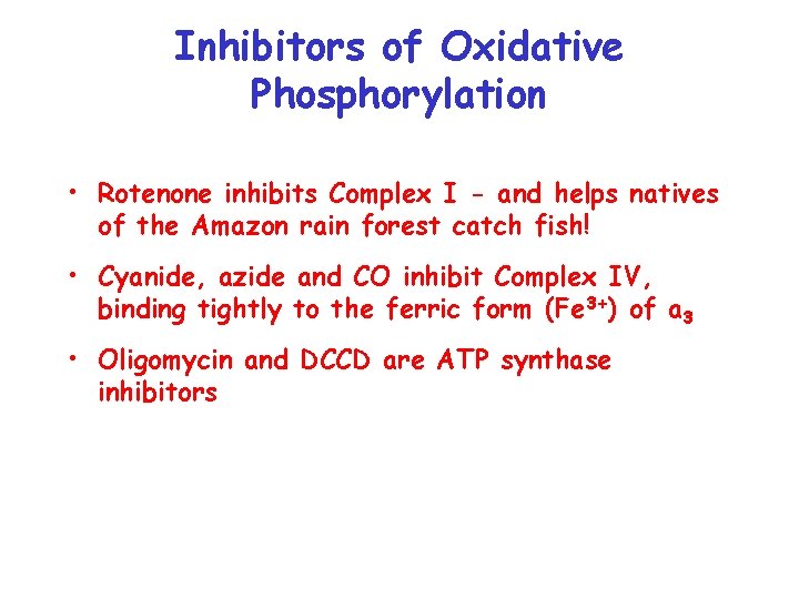 Inhibitors of Oxidative Phosphorylation • Rotenone inhibits Complex I - and helps natives of