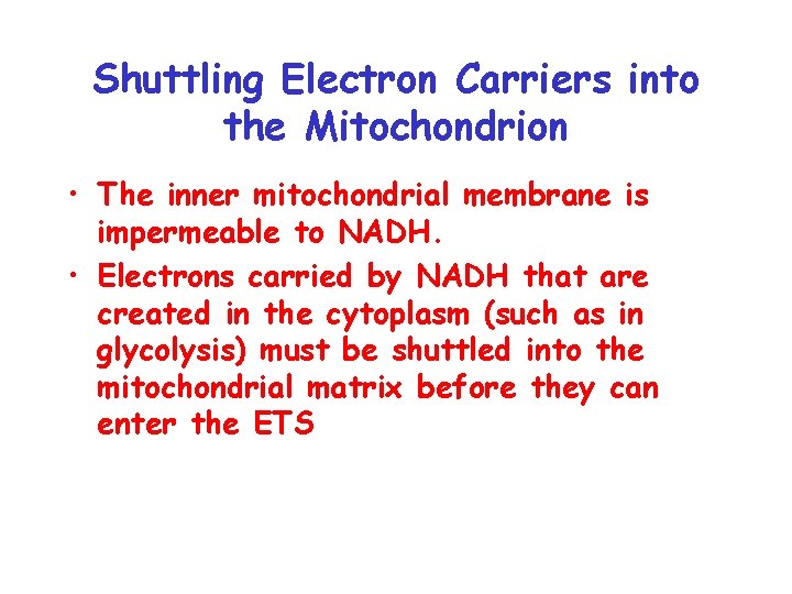 Shuttling Electron Carriers into the Mitochondrion • The inner mitochondrial membrane is impermeable to