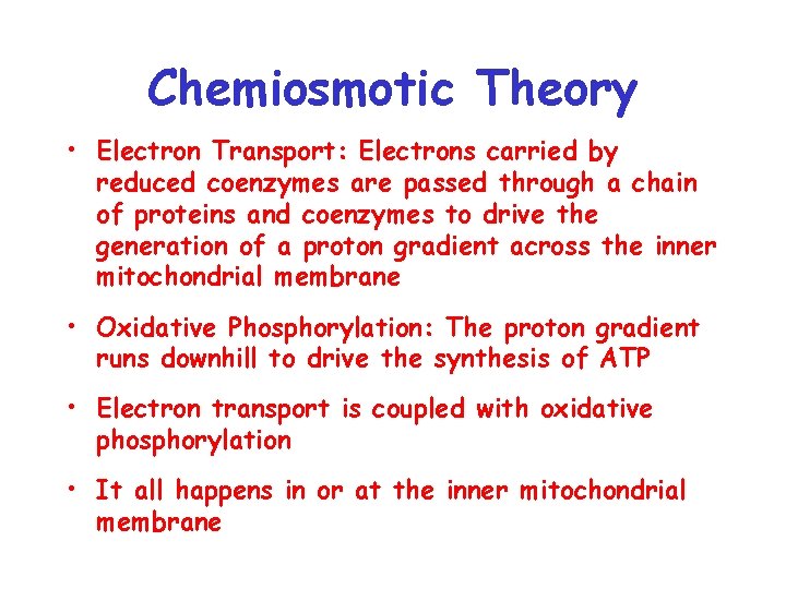 Chemiosmotic Theory • Electron Transport: Electrons carried by reduced coenzymes are passed through a