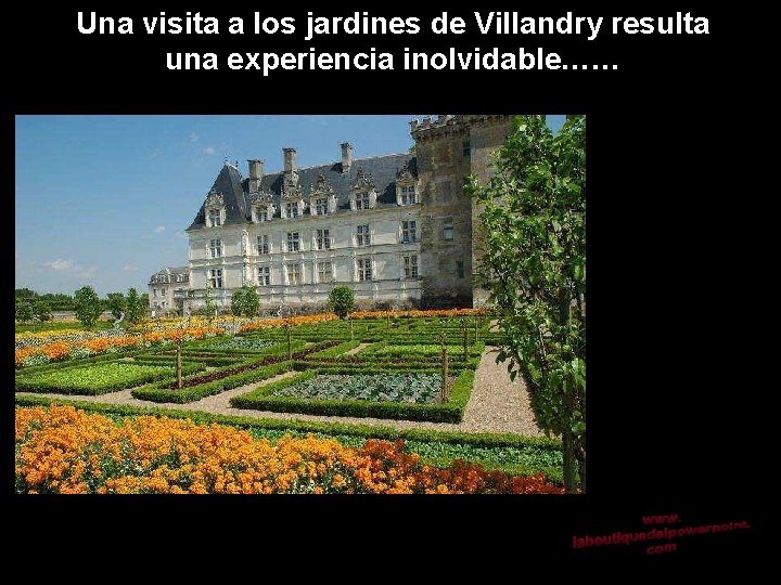 Una visita a los jardines de Villandry resulta una experiencia inolvidable…… 