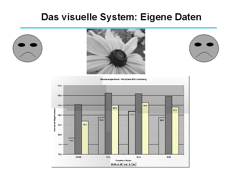 Das visuelle System: Eigene Daten 