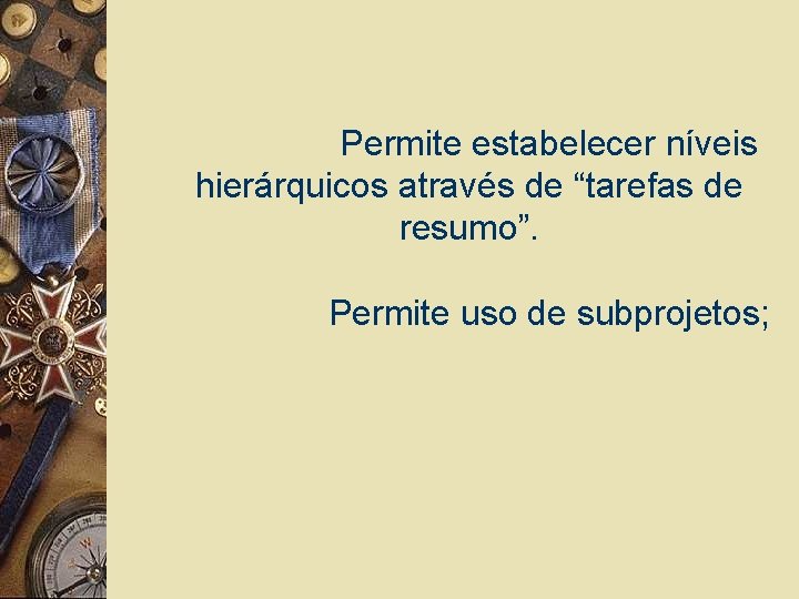 Permite estabelecer níveis hierárquicos através de “tarefas de resumo”. Permite uso de subprojetos; 