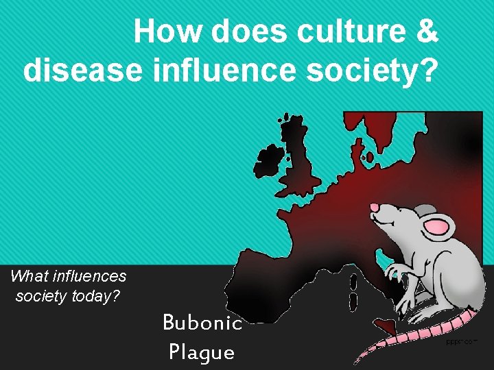 How does culture & disease influence society? What influences society today? Bubonic Plague 
