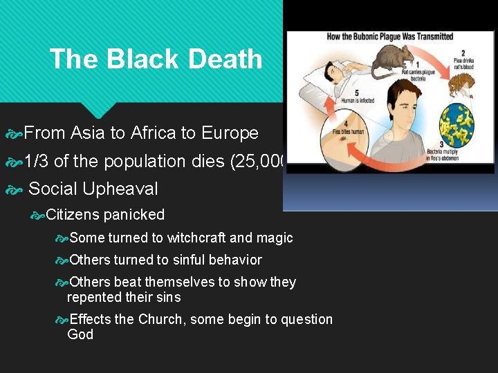 The Black Death From Asia to Africa to Europe 1/3 of the population dies