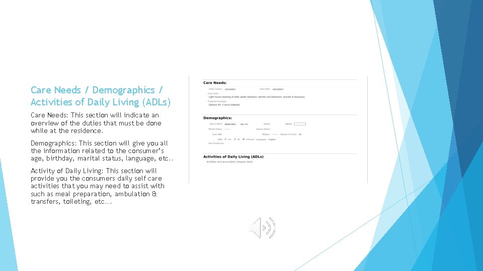 Care Needs / Demographics / Activities of Daily Living (ADLs) Care Needs: This section