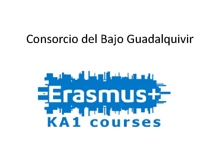 Consorcio del Bajo Guadalquivir 